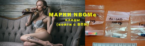 ГАЛЛЮЦИНОГЕННЫЕ ГРИБЫ Балабаново
