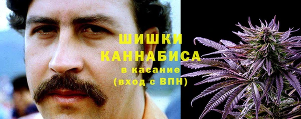 спайс Арсеньев